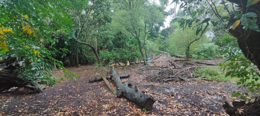 3 Bedroom Property for Sale in Greenbushes Eastern Cape